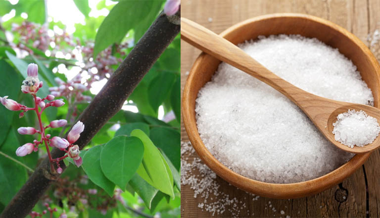 Kết hợp với muối giúp giảm ngứa, làm sạch vi khuẩn trú ngụ trên da
