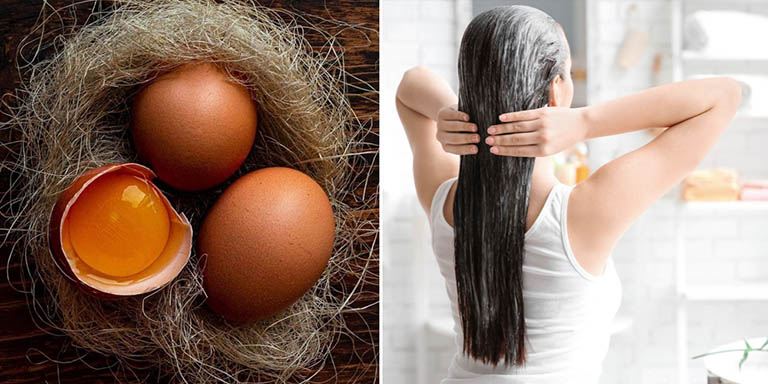 Dưỡng tóc với trứng gà là công thức được nhiều người lựa chọn