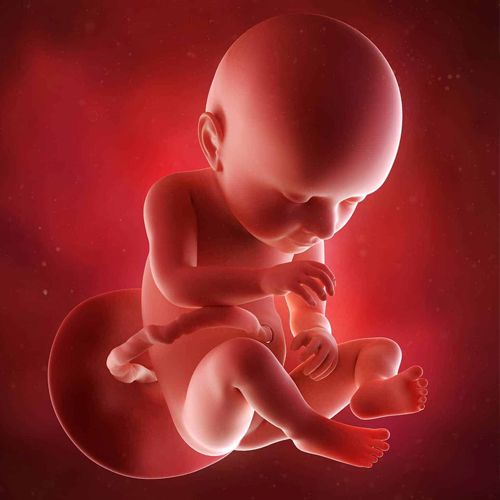 Bị nấm âm đạo khi mang thai có thể gây ảnh hưởng đến thai nhi