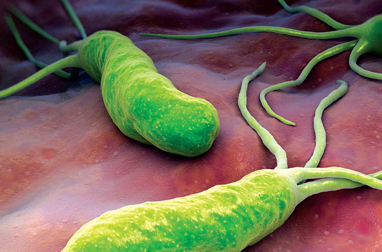 Các loại vi khuẩn cũng có thể xâm nhập vào cơ thể và gây bệnh