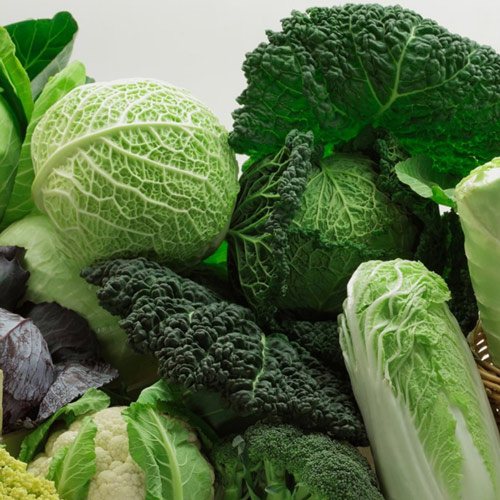 Các loại rau xanh là thực phẩm nên bổ sung cho bệnh nhân