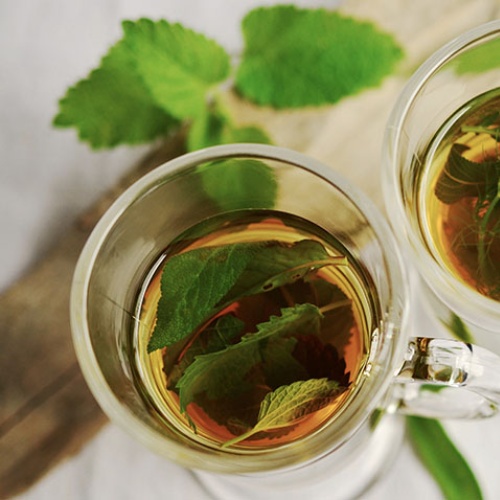 Uống trà tía tô cũng là một cách chữa viêm amidan hiệu quả