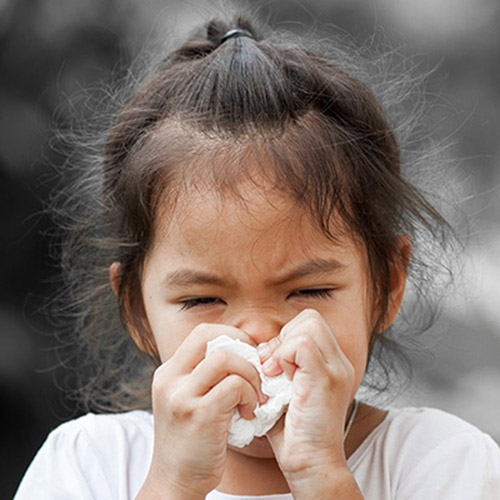 Viêm mũi dị ứng ở trẻ em tiềm ẩn nhiều nguy hiểm
