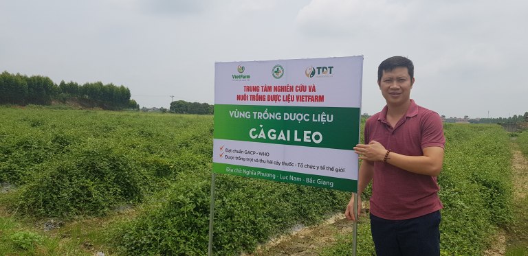 Các vườn trồng dược liệu của Trung tâm Vietfarm đạt tiêu chuẩn GACP-WHO