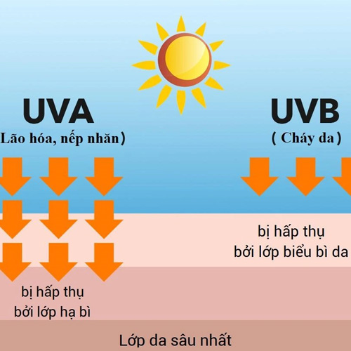 Tia UV tác động tới làn da gây ra tàn nhang