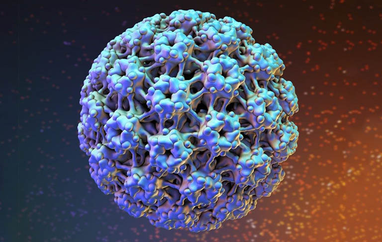 Virus gây u nhú ở người (HPV)