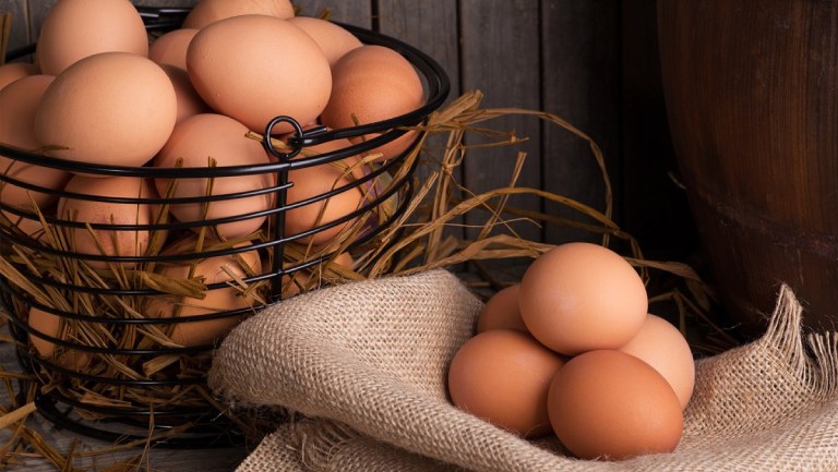 Trứng là thực phẩm được sử dụng khá phổ biến trong thực đơn ăn uống hàng ngày